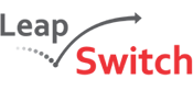 Leapswitch Networks Inc